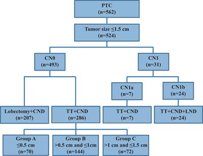 The safety and efficacy of delayed surgery by simulating clinical progression of observable papillary thyroid microcarcinoma: a retrospective analysis of 524 patients from a single medical center